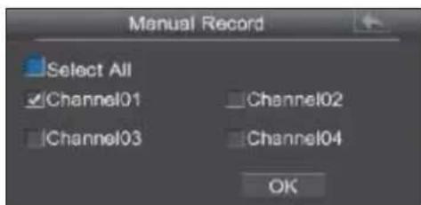 EBODE IPV4NVR - Grabación Manual - 2