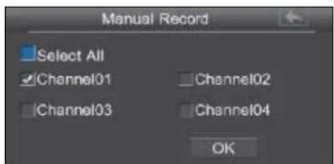 EBODE IPV4NVR - Manual Record - 2