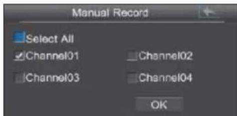 EBODE IPV4NVR - Registrazione manuale - 2