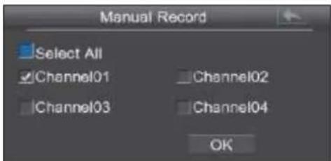 EBODE IPV4NVR - Gravacao Manual - 2