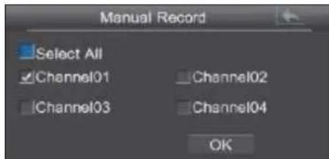 EBODE IPV4NVR - Enregistrement manuel - 2
