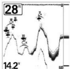 HUMMINBIRD Matrix 37 - Sensibilité (Sensitivity) - 1