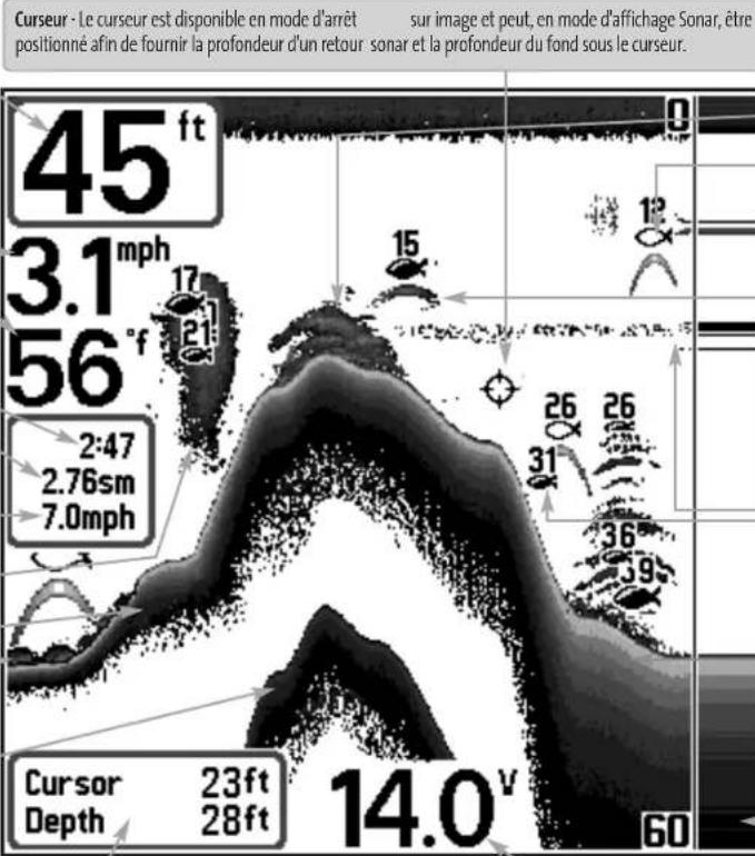 HUMMINBIRD Matrix 37 - Representations à l'écran - 1