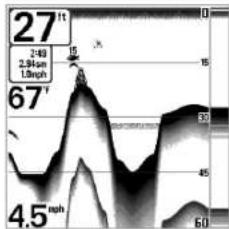 HUMMINBIRD Matrix 37 - Affichage du fond - 3
