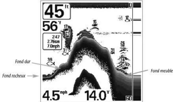 HUMMINBIRD Matrix 37 - Affichage du fond - 1