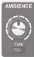 BOSS AD10 - [TYPE]按键 - 1