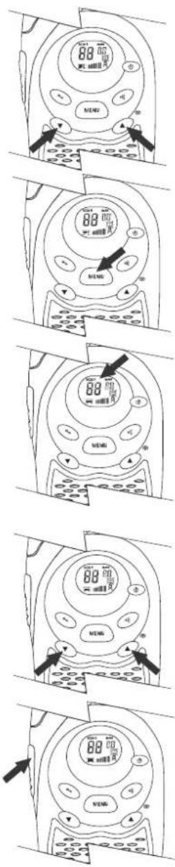88.00 MENG MENG 88.00 MENG MENG 88.00 MENG MENG MENG MENG MENG MENG