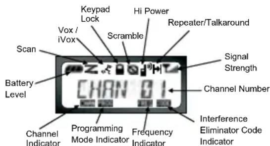 ZEBRA XT460 - READING THE DISPLAY - 1