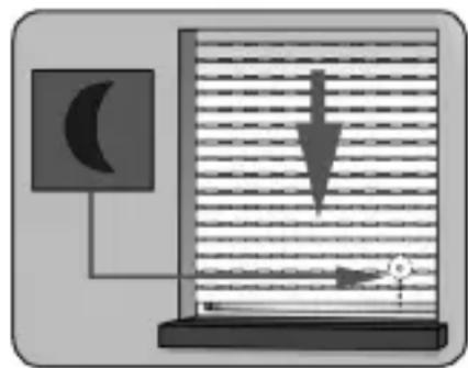RADEMACHER Troll Basis DuoFern 5615 - Fonction crépusculaire automatique du soir avec sonde optique connectée - 1