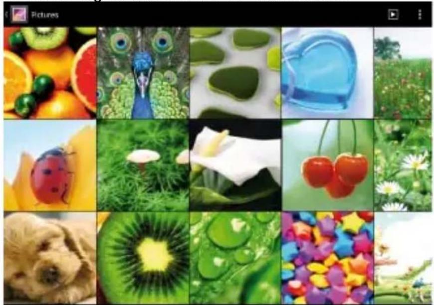 Trevi IP 365 - Immagini - 1