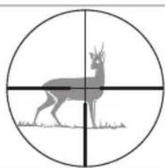SWAROVSKI OPTIK Z3 39x36 - Das Absehen in der 2. Bildebene (Okularbildebene) - 2