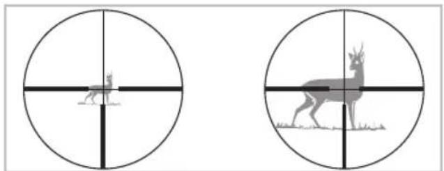 SWAROVSKI OPTIK Z3 39x36 - Sigtetiandetbilledplan (okular-billedplan) - 1