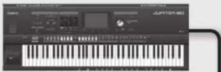 ROLAND StudioCapture UA1610 - Prise COAXIAL IN (15/16) - 1