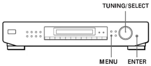 SONY STSE700 - Personalización del visualizador - 1