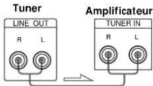 SONY STSB920 - De quels cordons avez-vous besoin? - 2