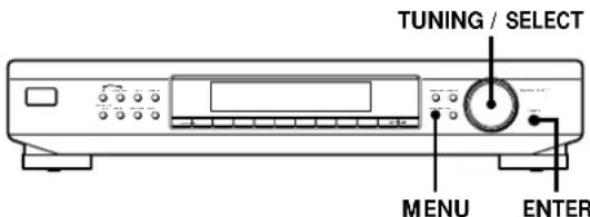 SONY STSB920 - Organización de las emisoras memorizadas - 2