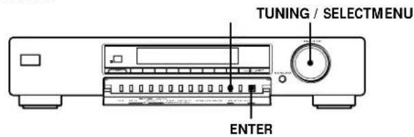 SONY STSB920 - Customizing the Display - 1