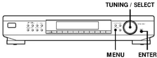SONY STSB920 - Personalización del visualizador - 2