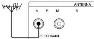 SONY STSA3ES - Conector tipo hembra de normas IEC - 2