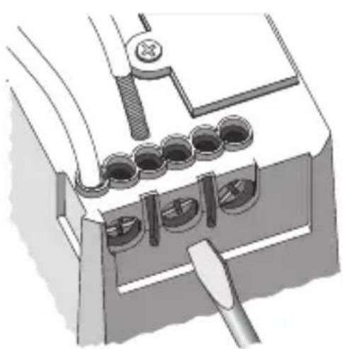 Gewiss GW14767 - ②Connessione cavo bus - 2
