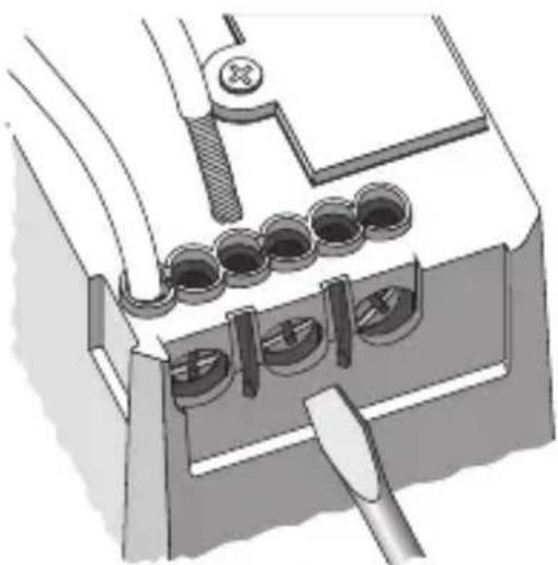 Gewiss GW14797 - Verbraucheranschluss - 1