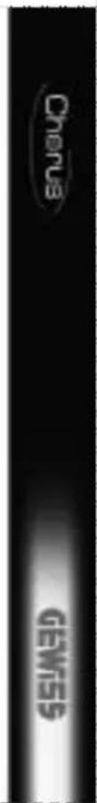 Gewiss GW90815 - Commandes SMS - 2