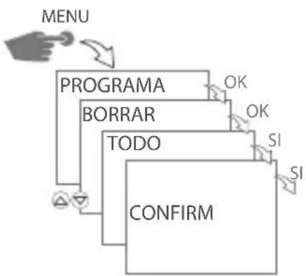 Gewiss GW96891 - BORRAR TODOS LOS PROGRAMAS - 1