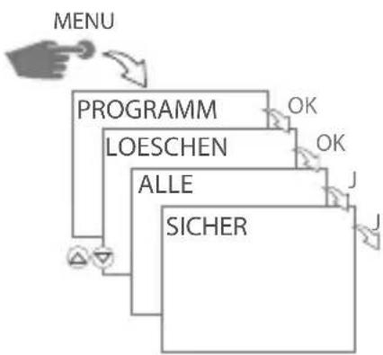 Gewiss GW96891 - ALLE PROGRAMME LÖSCHEN - 1