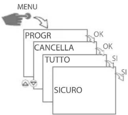 Gewiss GW96891 - CANCELLARE TUTTI I PROGRAMMI - 1
