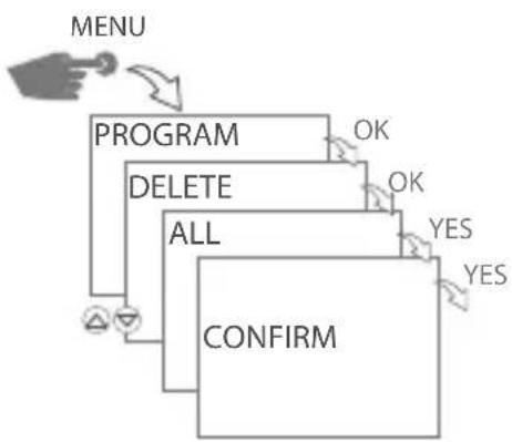 Gewiss GW96891 - DELETE ALL PROGRAMS - 1