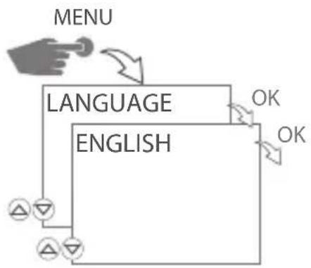 Gewiss GW96891 - Initial start-up – Language menu - 1