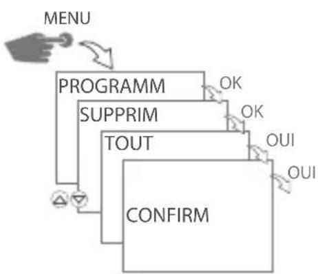 Gewiss GW96891 - SUPPRIMER TOUS LES PROGRAMMES - 1