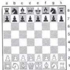 Philos 2517 - Schachfiguren - 3