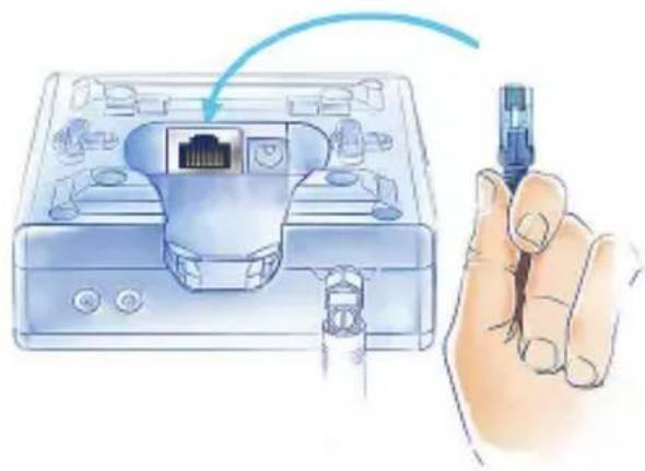 Fibaro Home Center Lite - Connexion de l'antenne 2. Connexion du cable réseau - 2