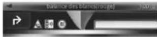 PIONEER NavGate HeadUp SPXHUD01 - Balancedesblancs - 2
