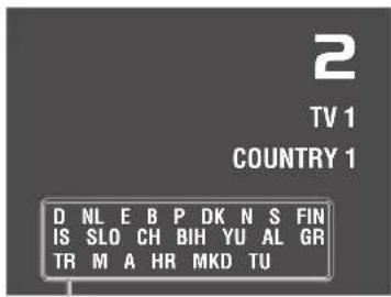 PIONEER GEXP6400TVP - Verifica del canale del momento e di altre predispositionsi - 3