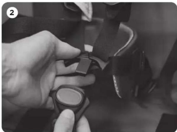 THULE Coaster Bicycle Trailer - AVIS - 2