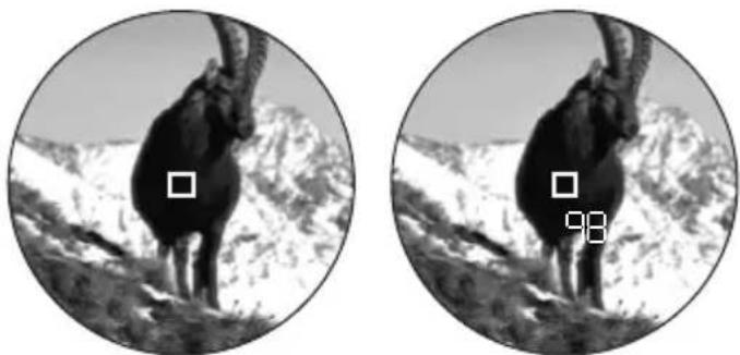 LEICA Rangemaster CRF 1000R - range meaSuremenT - 1