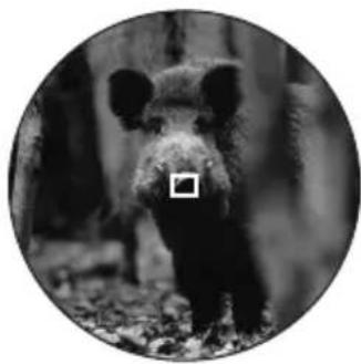 LEICA Rangemaster CRF 1000R - SCANMODUS - 2