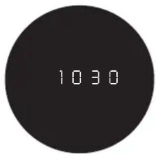 LEICA GEOVID 42 HDB - VISUALIZAZIONE DELLE CONDIZIONI ATMOSFERICHE - 3
