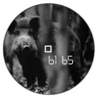 LEICA GEOVID 42 HDB - SCAN-BETRIEB - 1