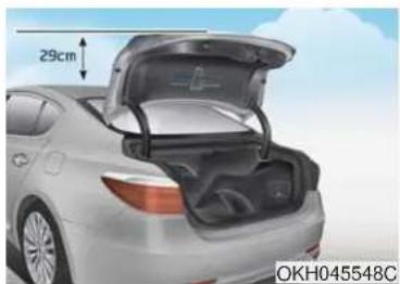 KIA K900 (2018) - AVERTISSEMENT - 1