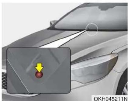 KIA K900 (2018) - \* AVIS - 1