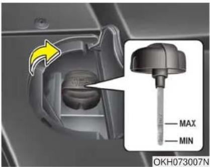 KIA K900 (2018) - Vérification du niveau de liquide de direction assistée - 1