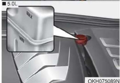 KIA K900 (2018) - LIQUIDE DE FREINAGE Vérification du niveau de liquide de freinage - 2