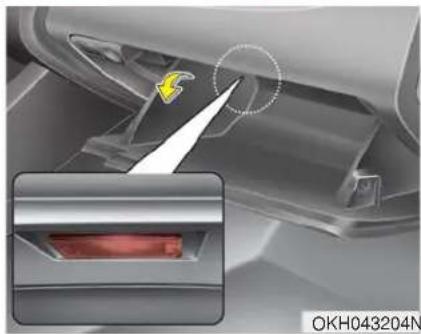 KIA K900 (2018) - Lampe de boîte à gants - 1