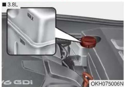 KIA K900 (2018) - LIQUIDE DE FREINAGE Vérification du niveau de liquide de freinage - 1