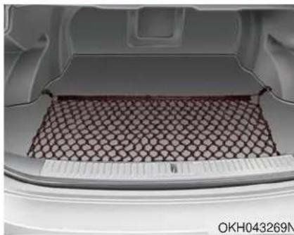 KIA K900 (2018) - MISE EN GARDE - 1