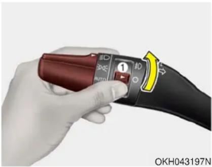 KIA K900 (2018) - Phares antibrouillard avant - 1