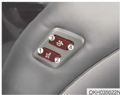 KIA K900 (2018) - AVERTISSEMENT - 3